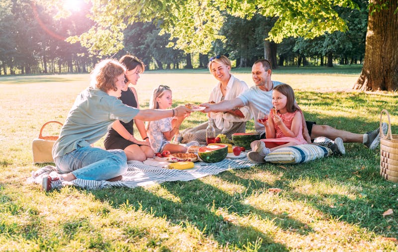 Family Picnic Outing
