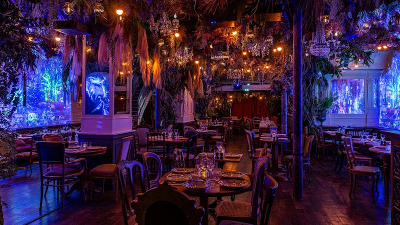 Notre guide des restaurants immersifs à Paris